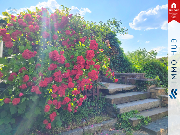 Zugang Terrasse – Bild 7