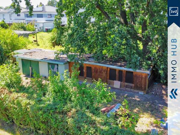 Nebengelass – Bild 4