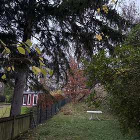 Bild 8 von 8: Garten, Wohntraum selbst gestalten - Einfamilienhaus im schönen Kiel-Hassee