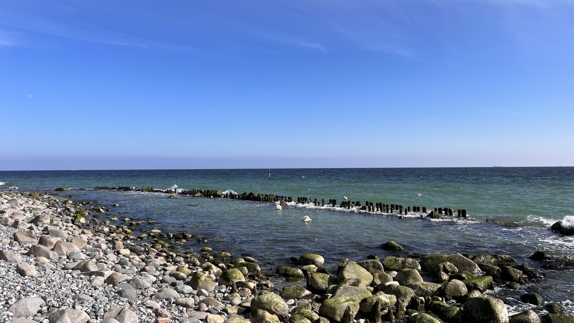 Direkt am Meer, unverbaubarer Blick auf die Ostsee