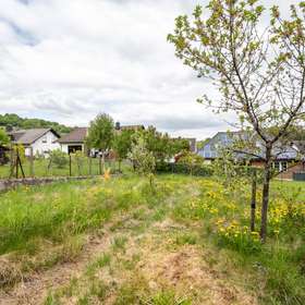18304 Garten