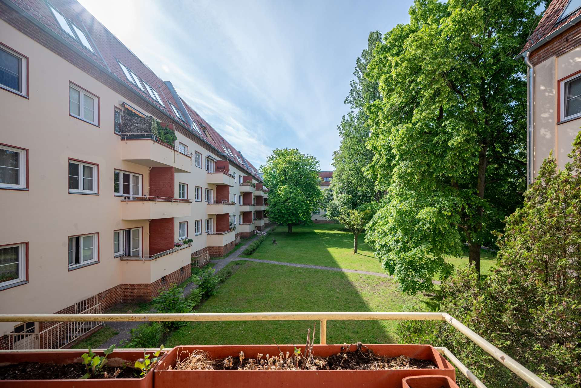 Blick in den Garten