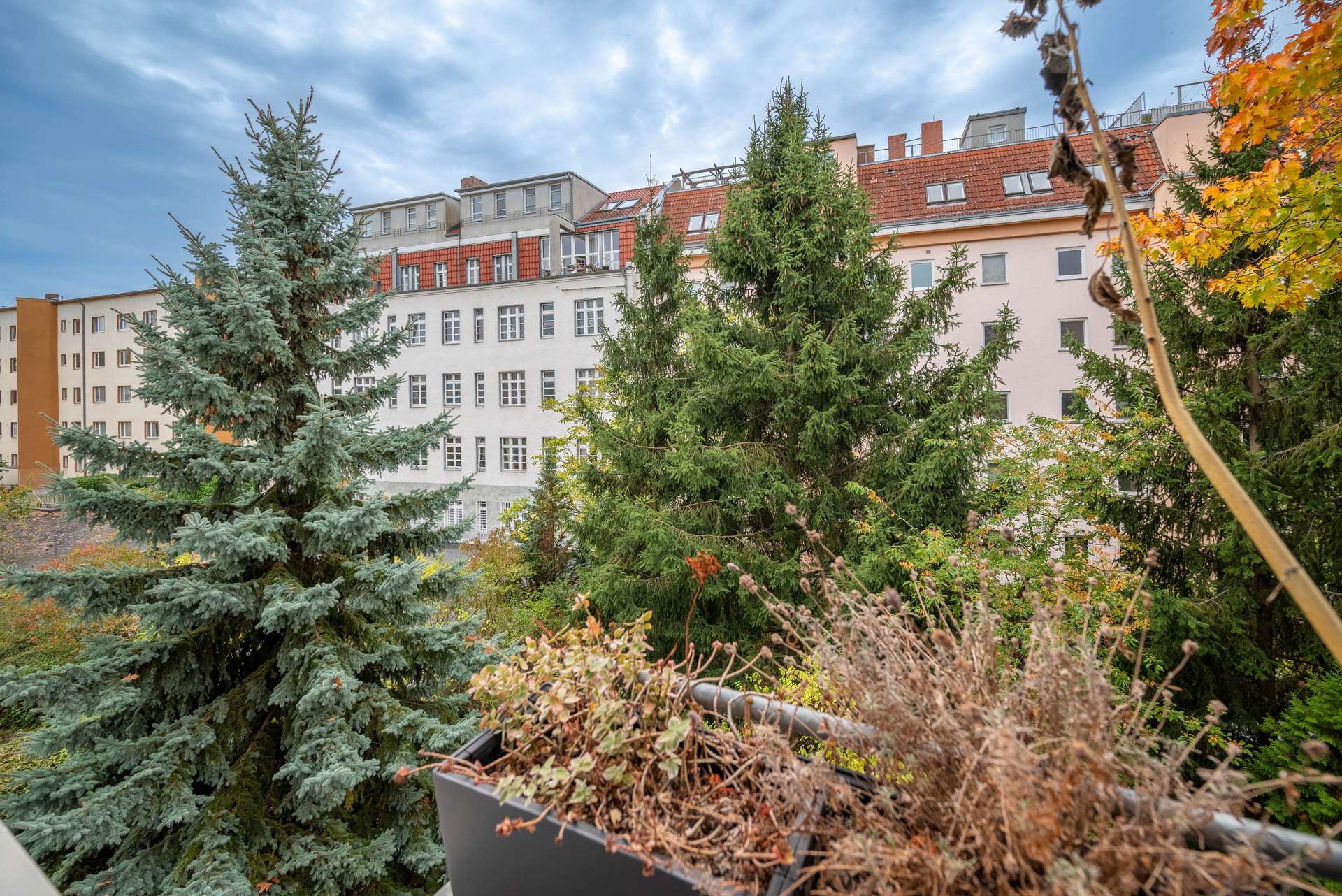 Ausblick