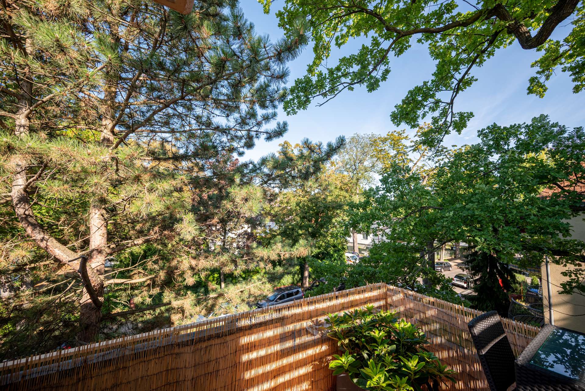Blick von der Su00fcdwest Terrasse