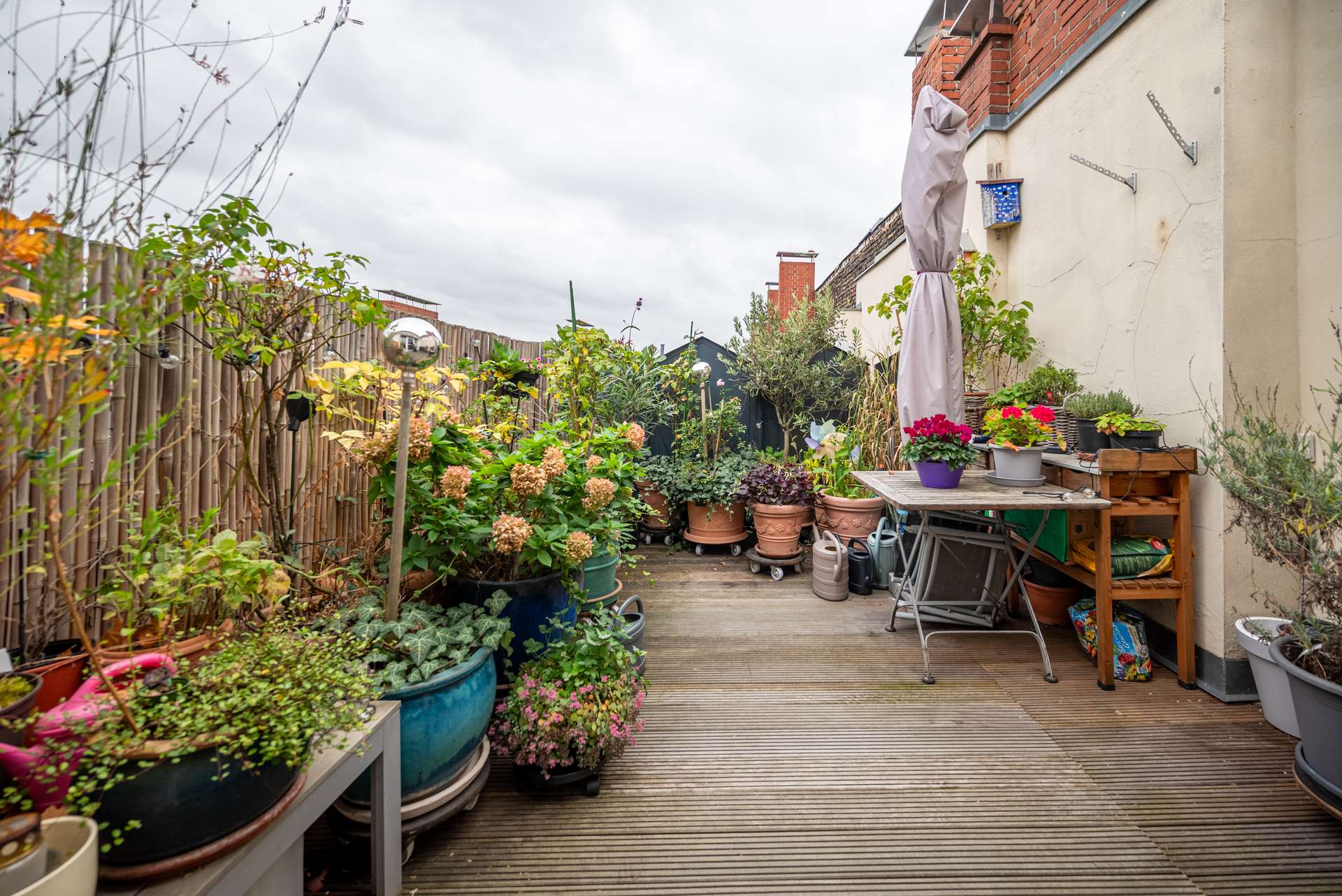 Su00fcd-West Terrasse