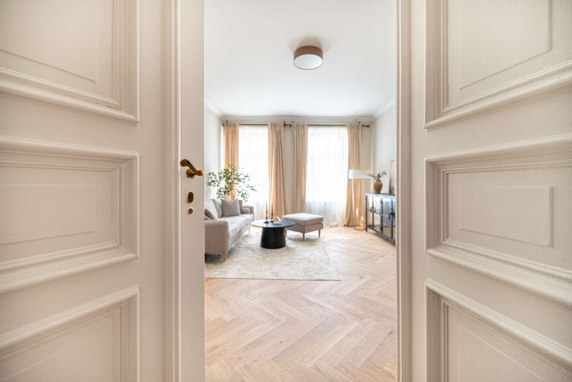 Altbauklassische Flu00fcgeltu00fcr zum Wohnzimmer