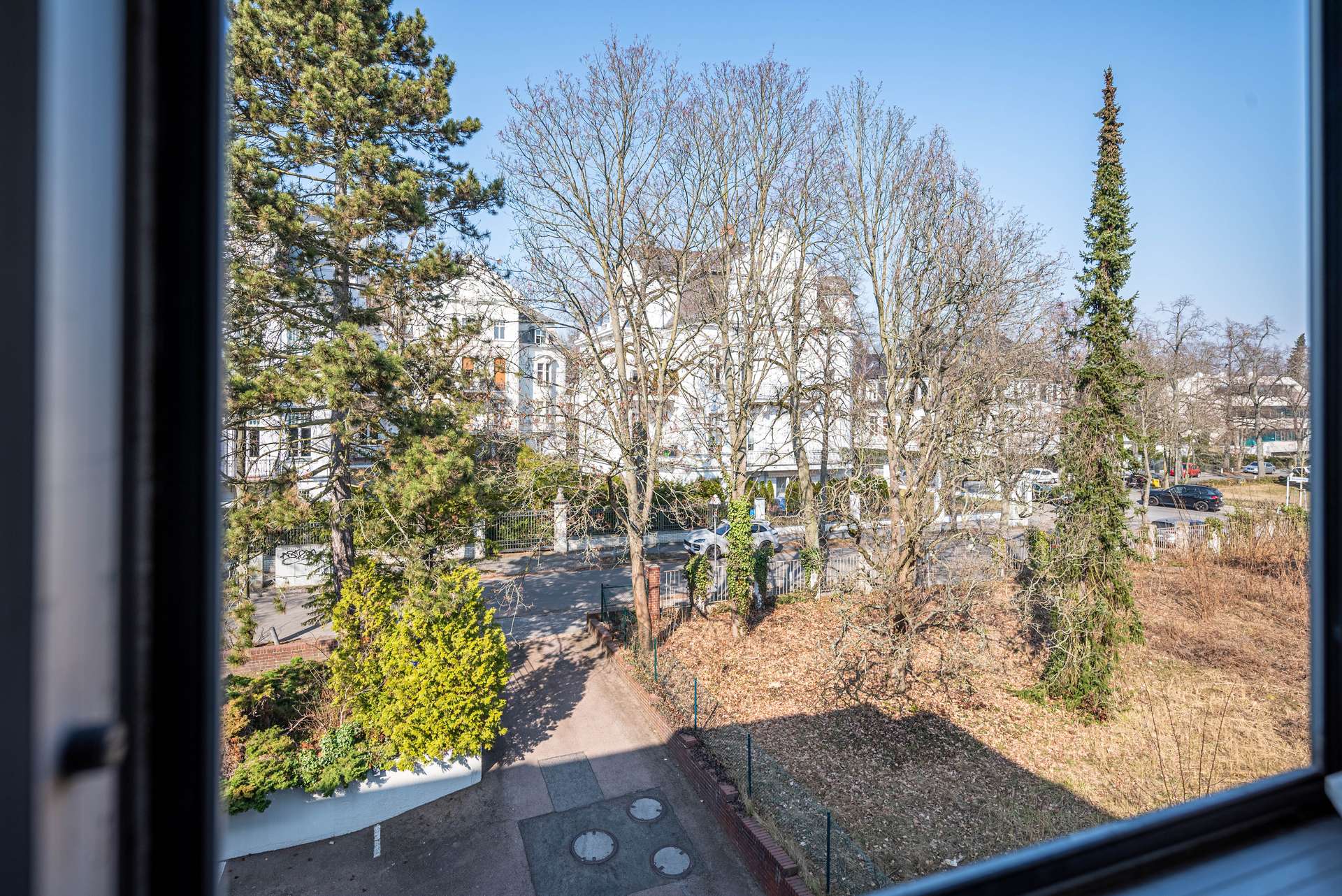 Blick ins Gru00fcne