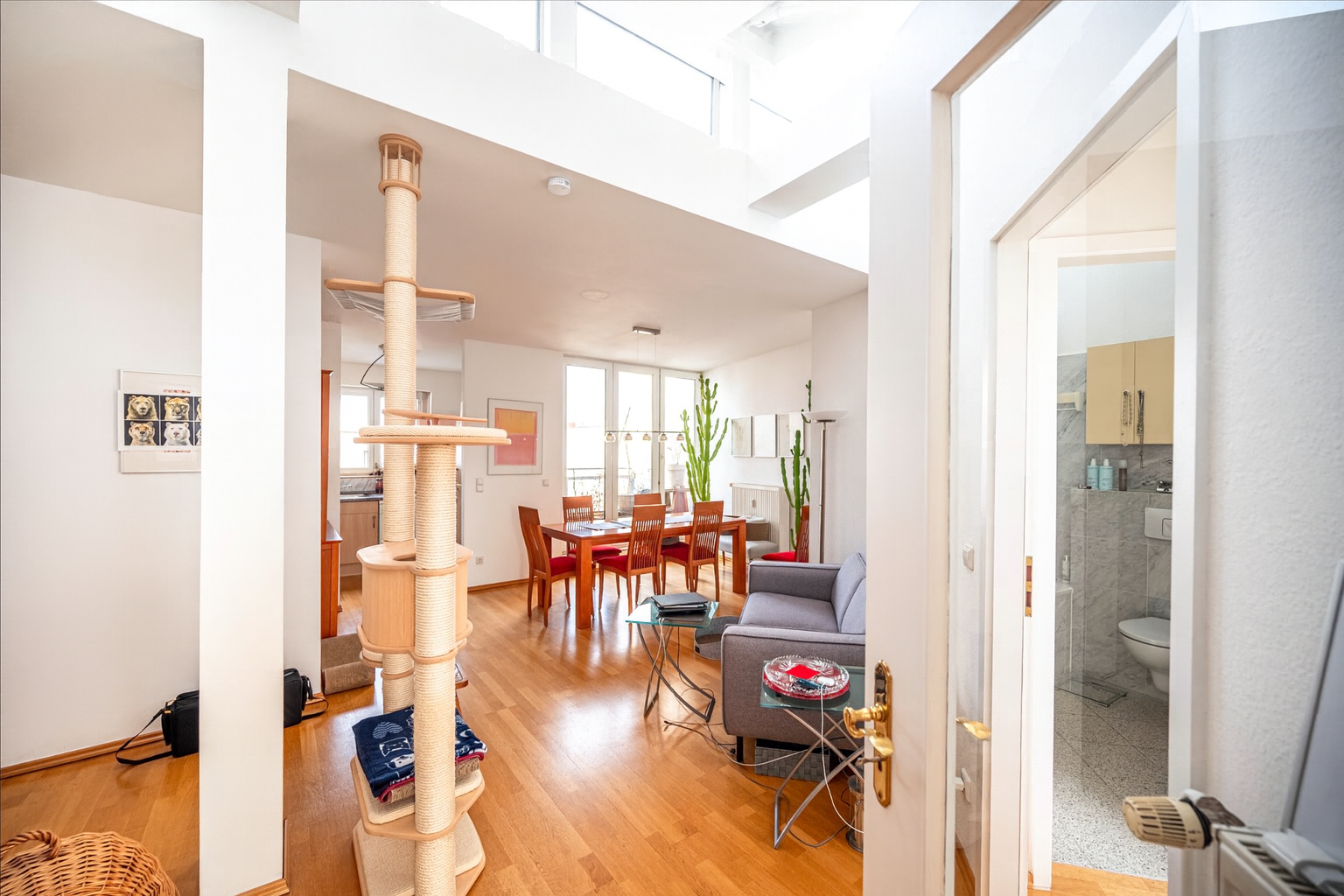 Wohnzimmer mit Dachfenstern