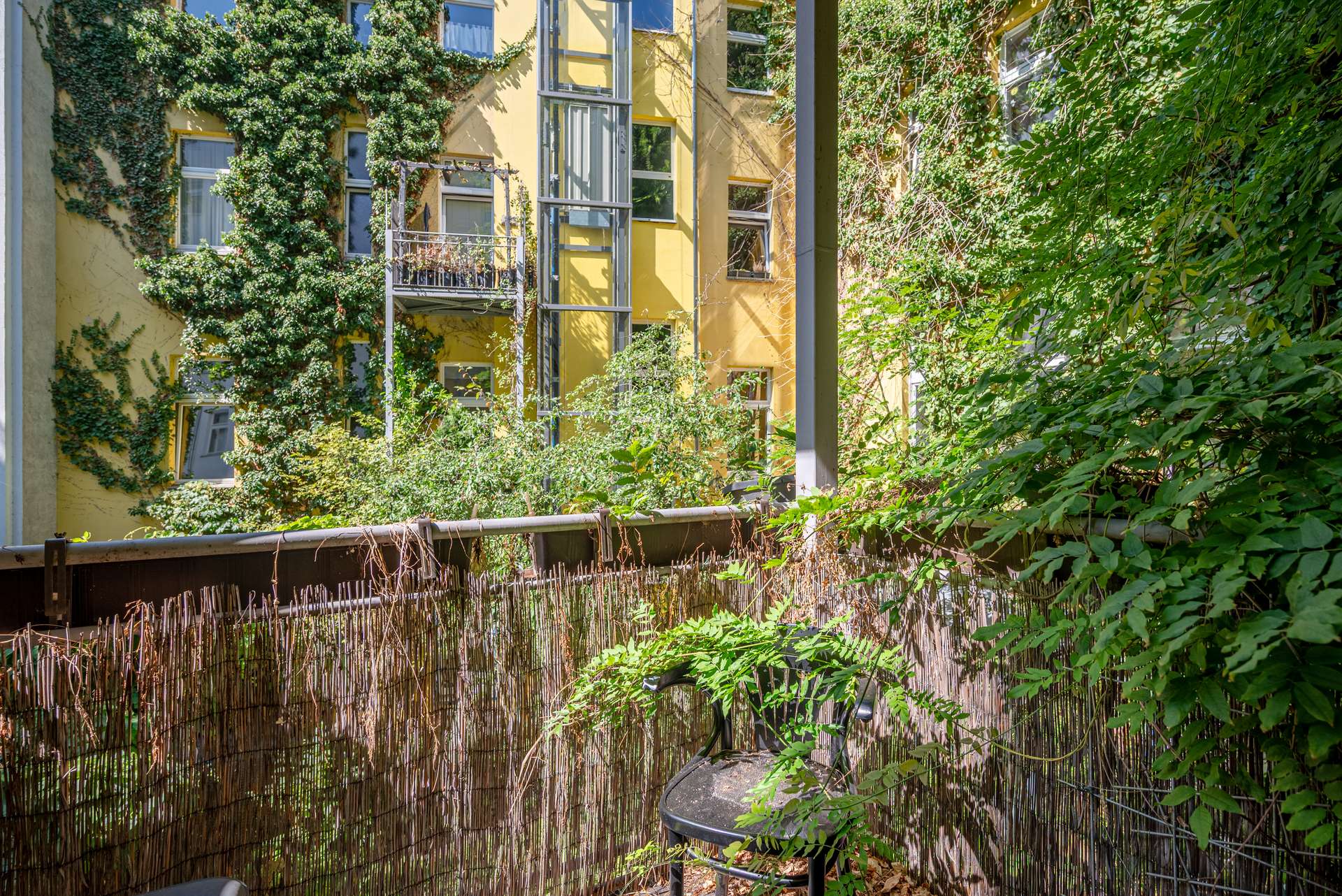 DSC_1231-HDR