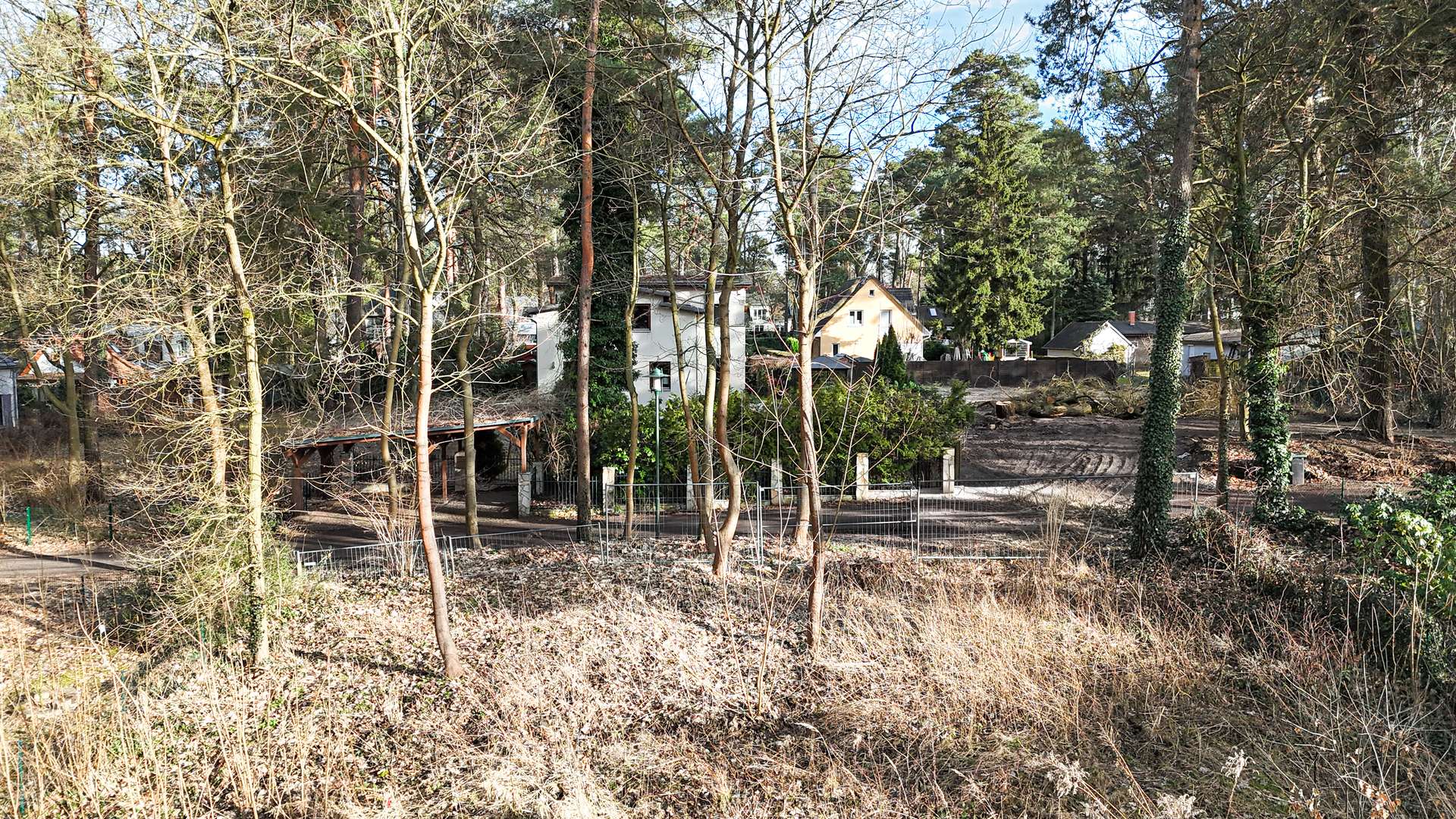 Aussicht vom Grundstu00fcck zur Strau00dfe