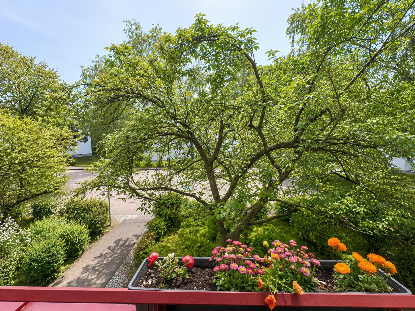 Balkon - Ausblick