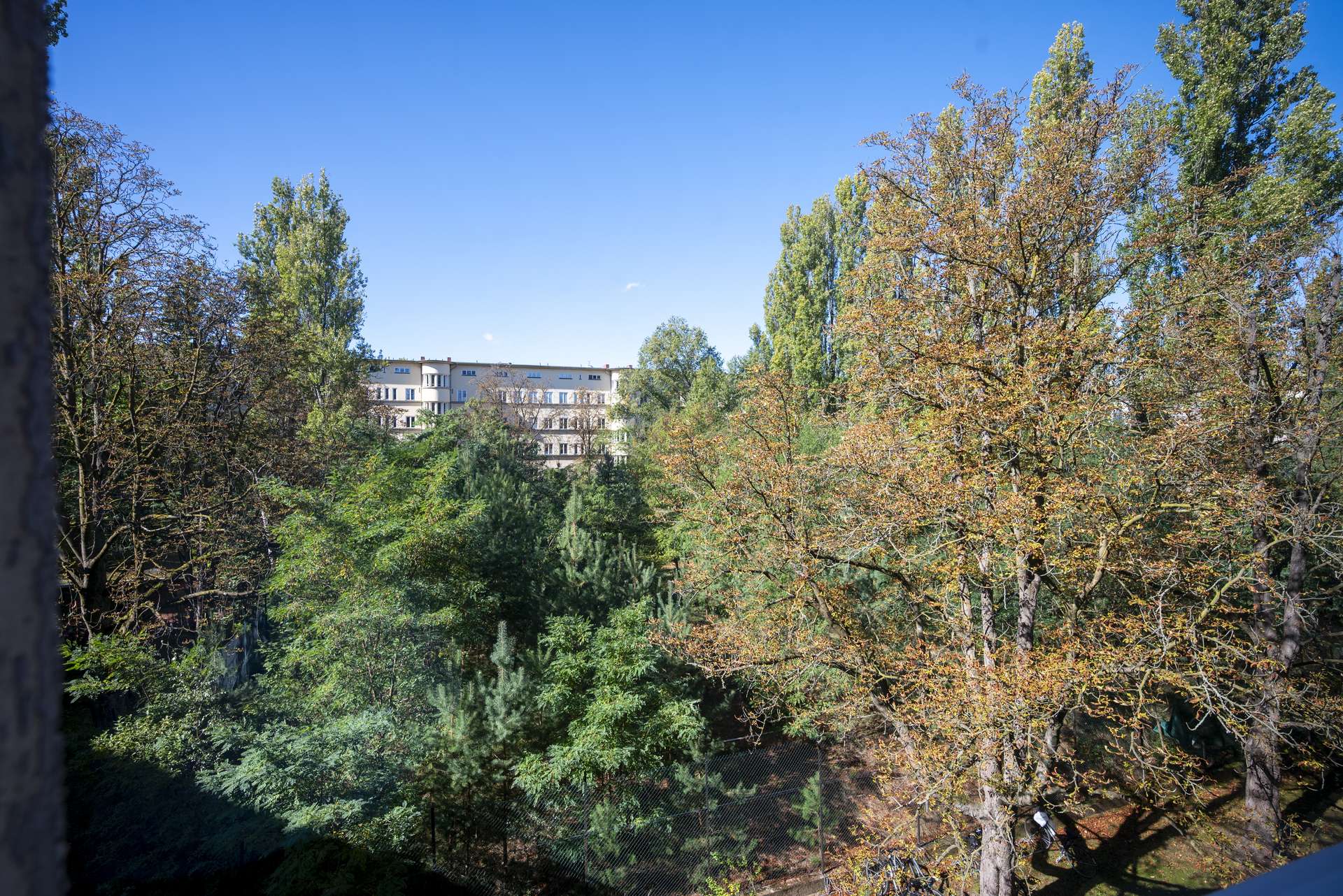 Blick ins Gru00fcne 