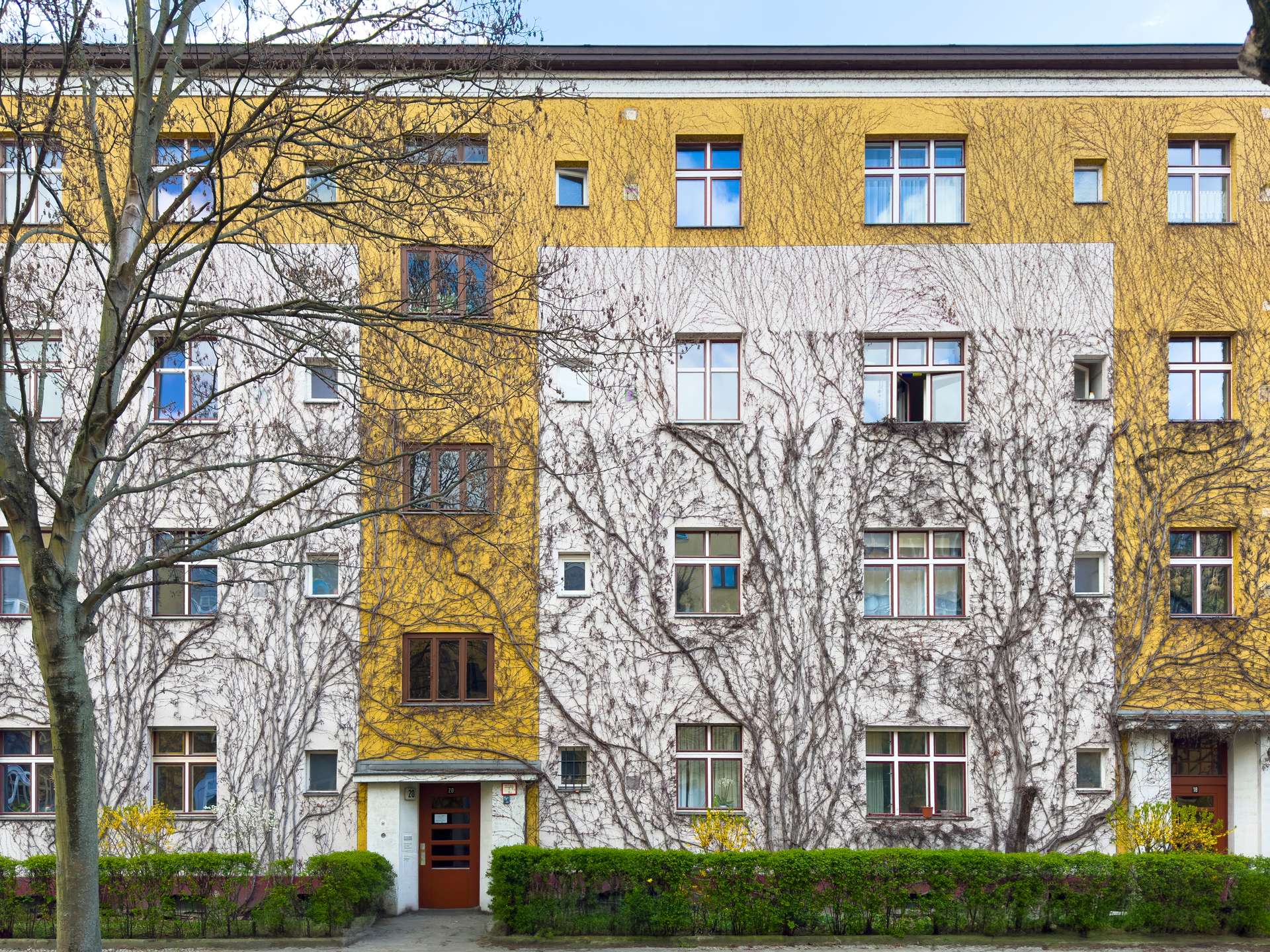 Frontansicht