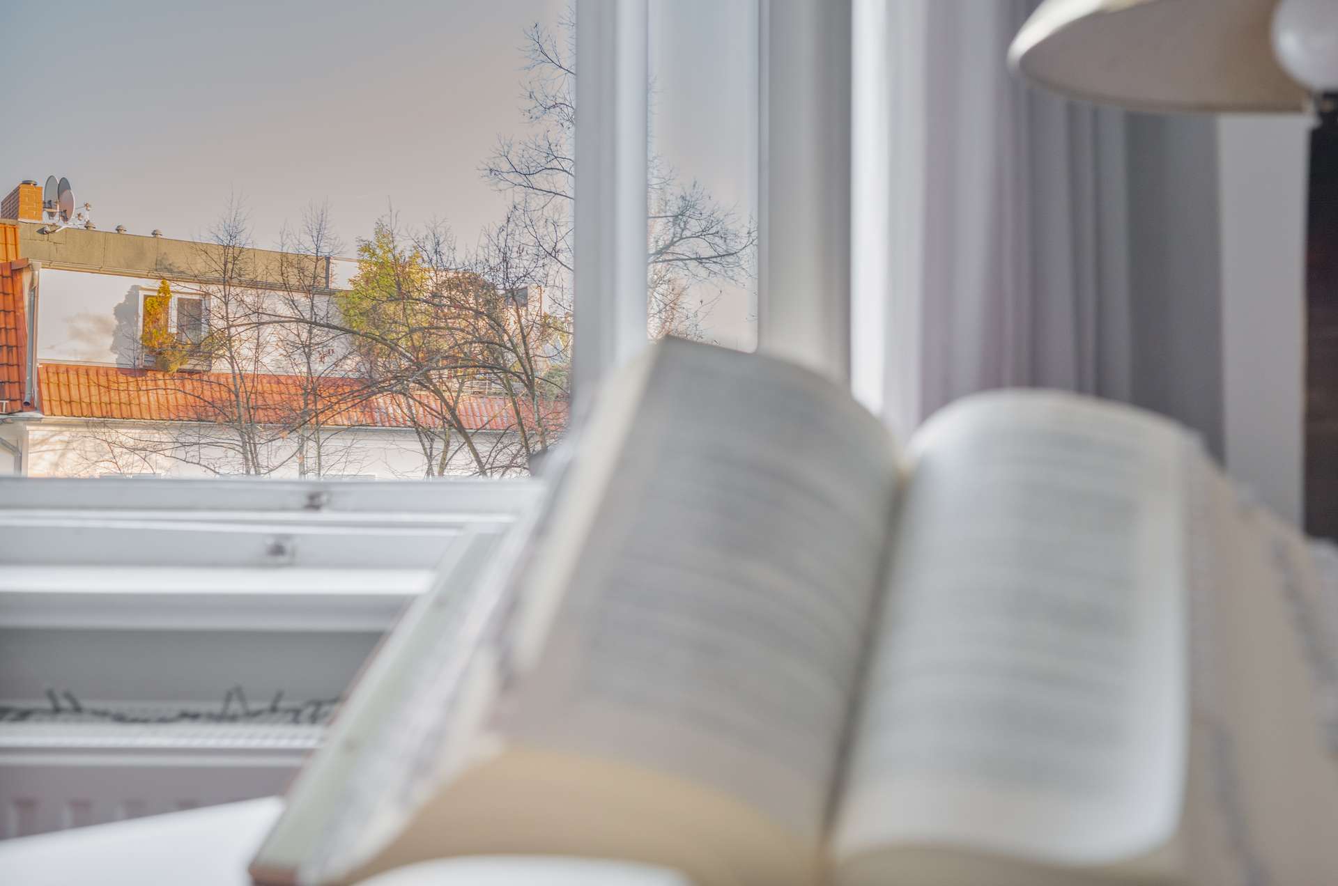 Ausblick vom Schreibtisch