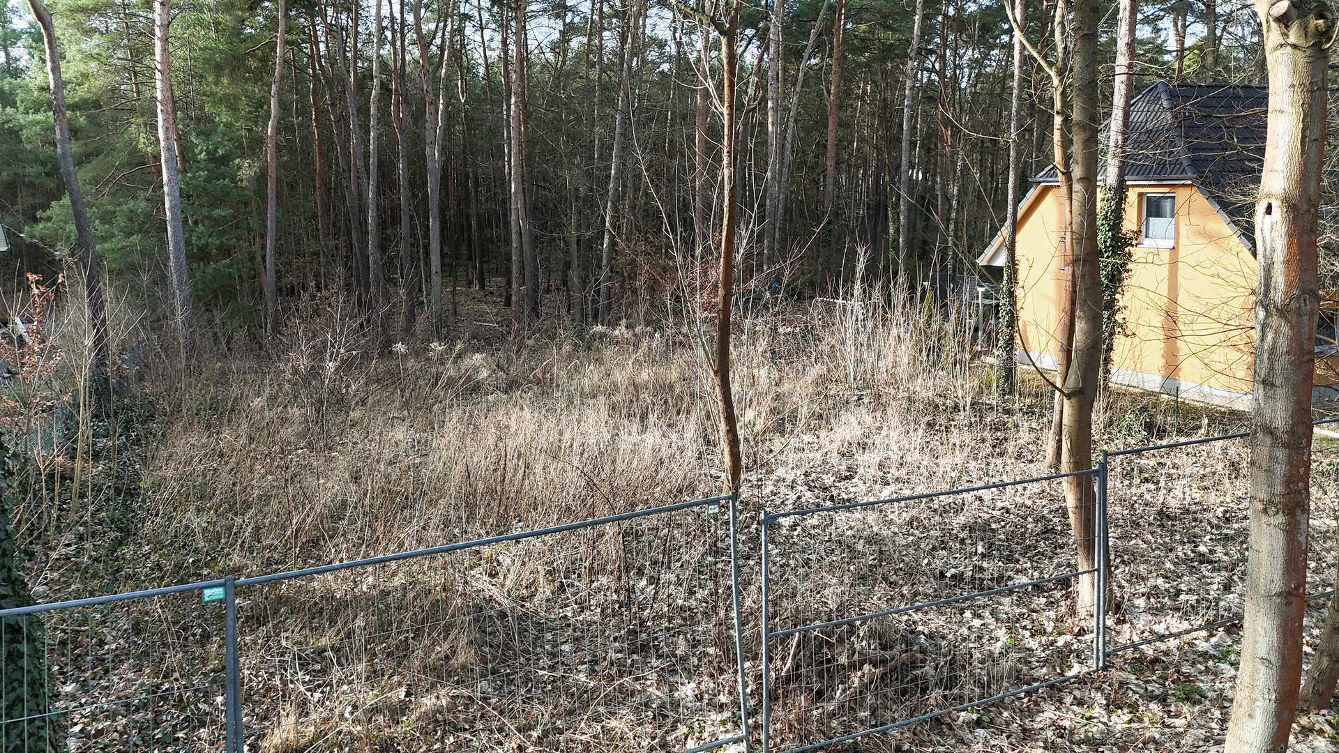 Blick von der Strau00dfe auf das Grundstu00fcck