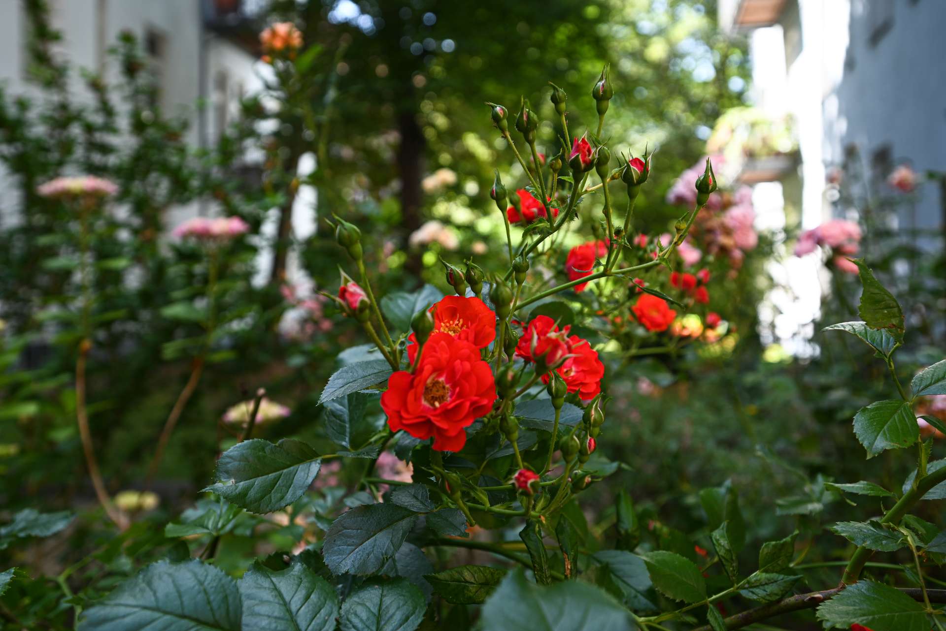 Garten