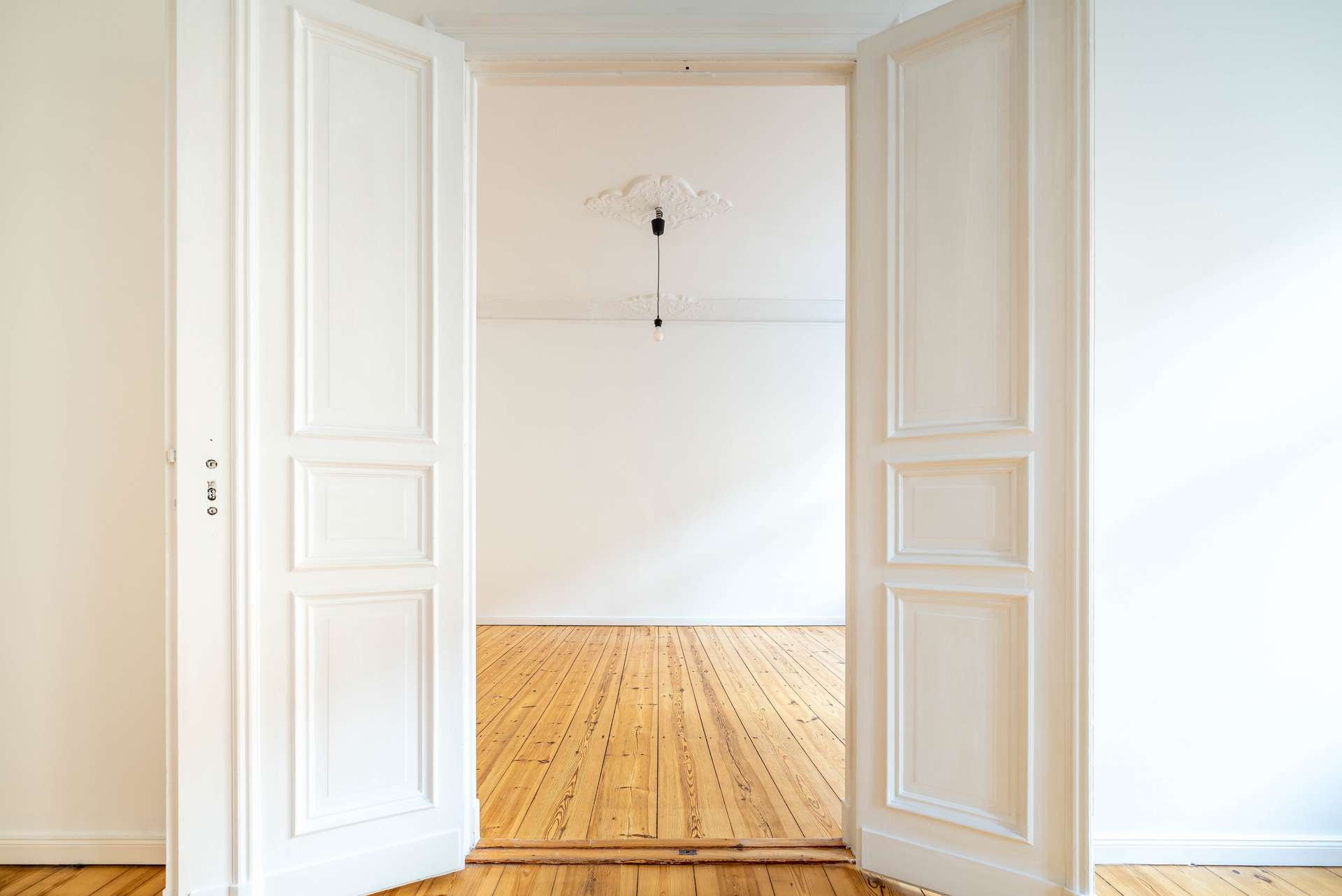 Details der Flu00fcgeltu00fcr