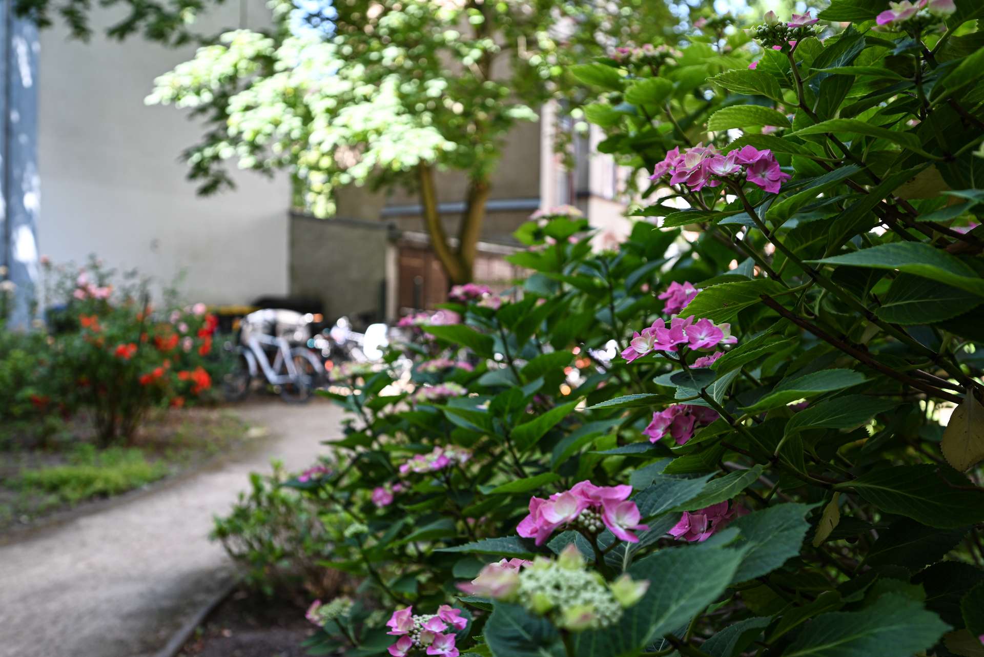 Garten