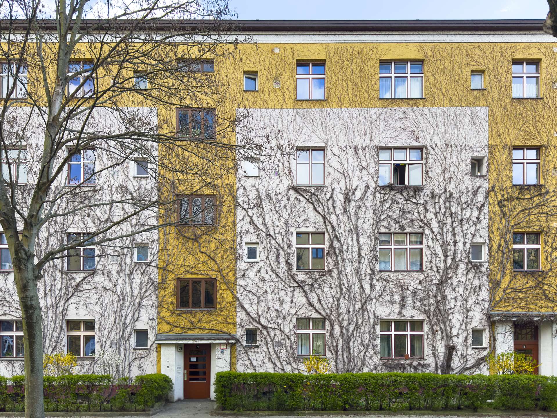 Frontansicht