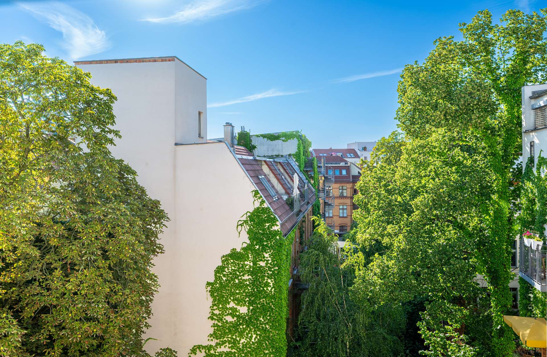 Blick ins Gru00fcne