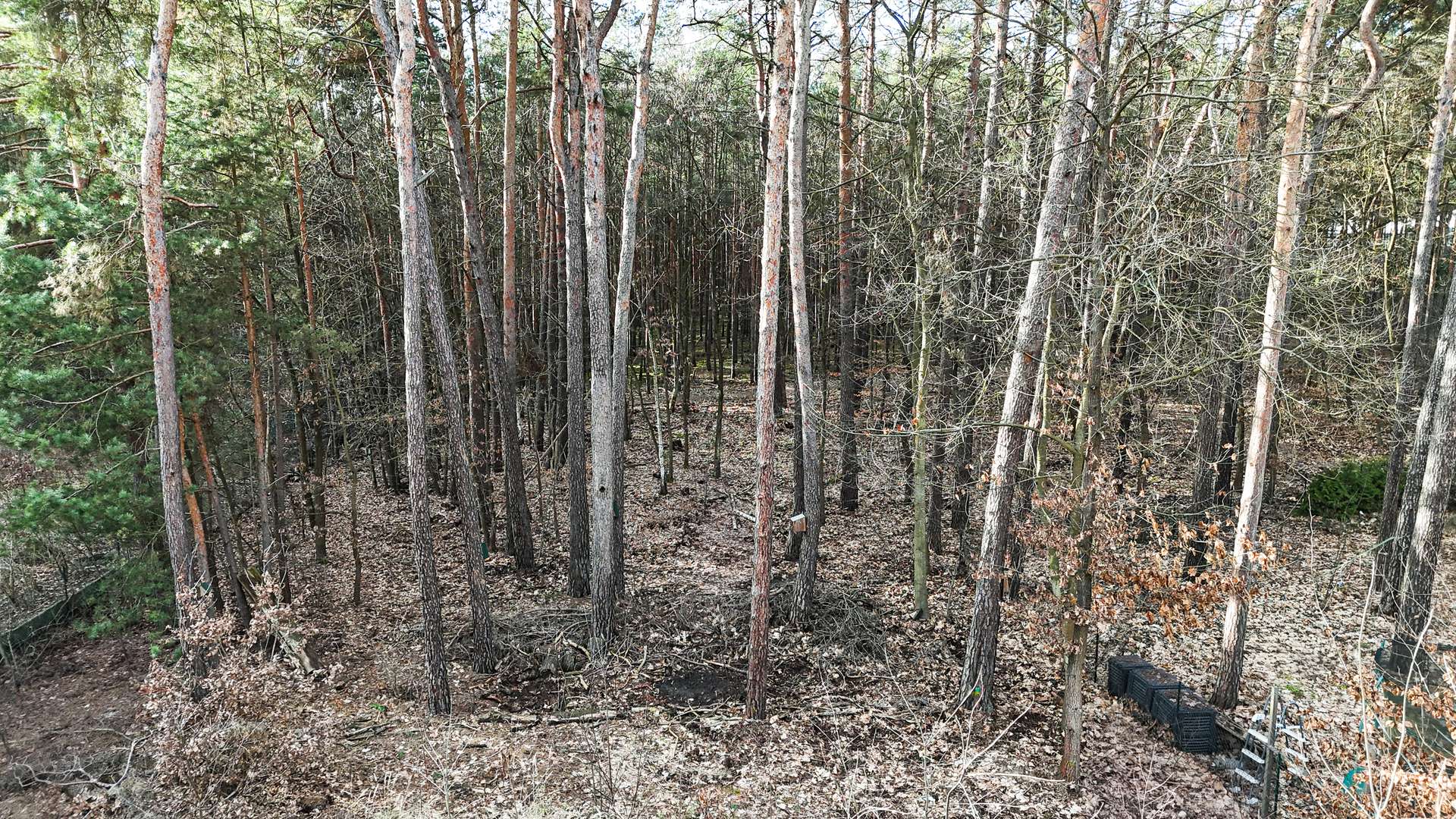 Blick vom Grundstu00fcck in das anliegende Naturschutzgebiet