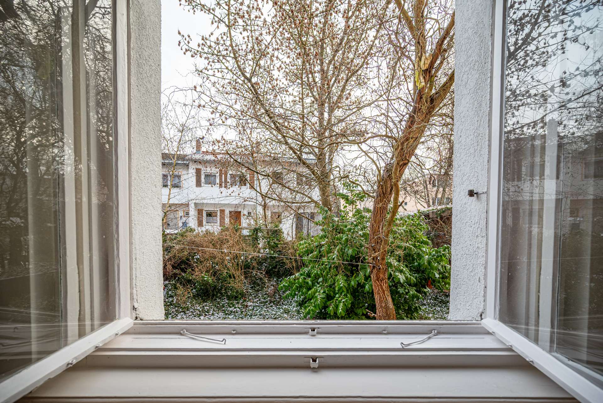Blick in den Garten