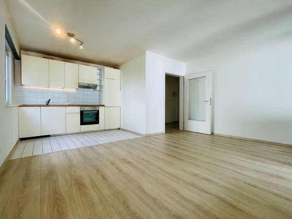 Wohnzimmer / Küche