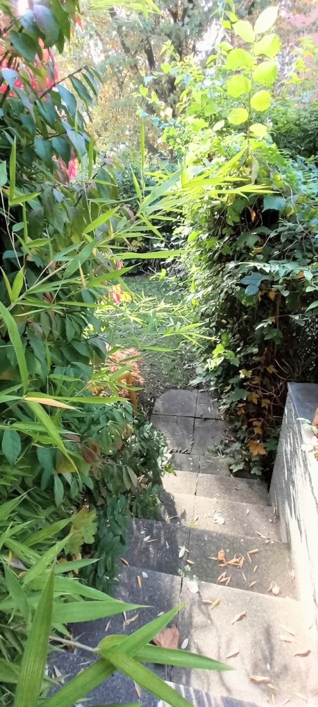 Potenzial zur Selbstfinanzierung: Studio nahe Gesundbrunnen mit Balkon, Garten & Parkmöglichkeit