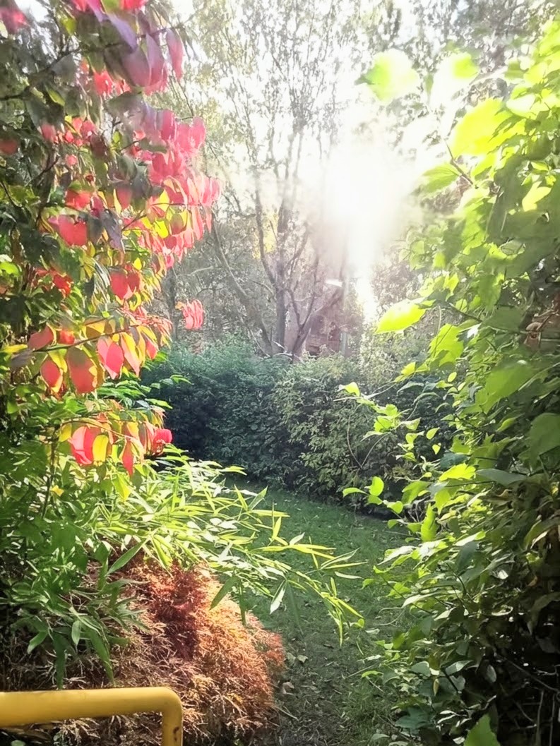 Potenzial zur Selbstfinanzierung: Studio nahe Gesundbrunnen mit Balkon, Garten & Parkmöglichkeit