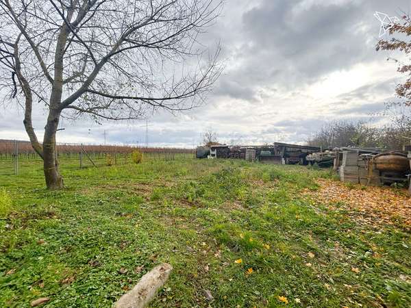 HIER ENTSTEHT ETWAS BESONDERES 🏗️🌳 Viel Raum für Neubau & individuelle Wohnkonzepte in Gensingen!