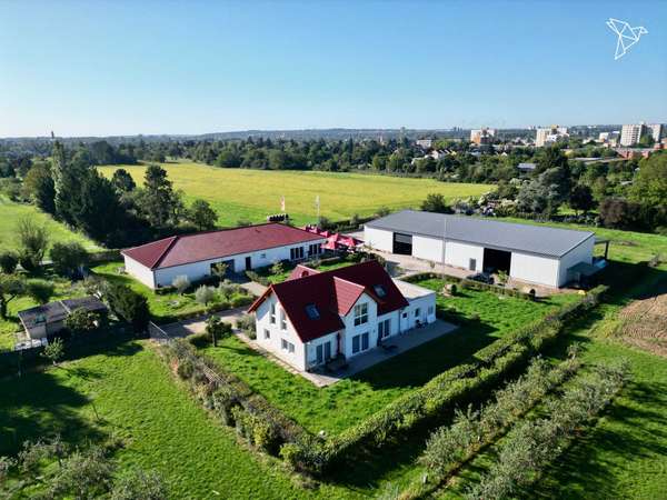 WEINKULTUR TRIFFT WOHNQUALITÄT 🍷 Weingut mit EFH & Vinothek in Mainz-Kostheim!