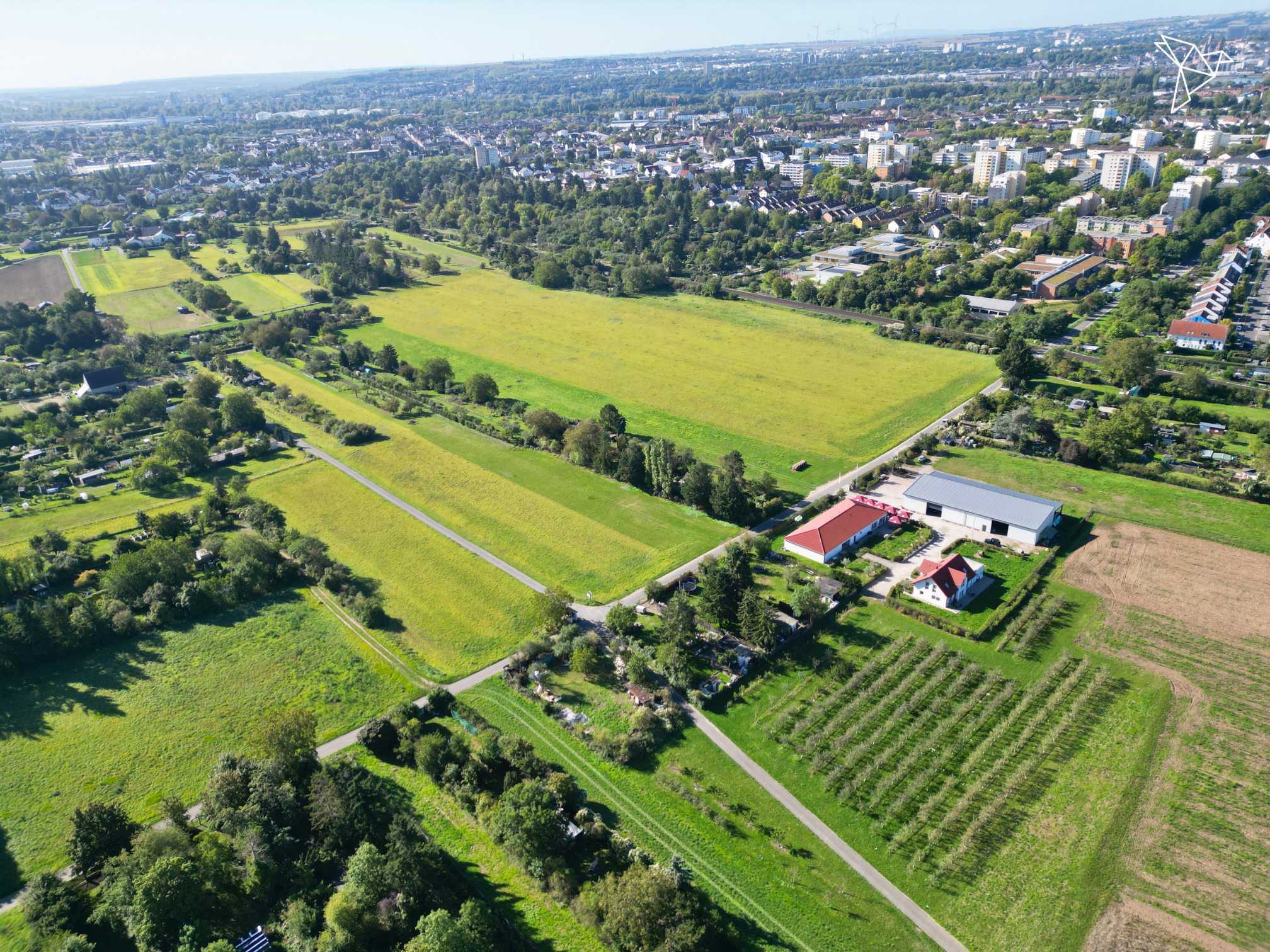 HERZBLUT & HEIMAT ✨🍷 Weingut mit Vinothek, Halle & Einfamilienhaus in Mainz-Kostheim!