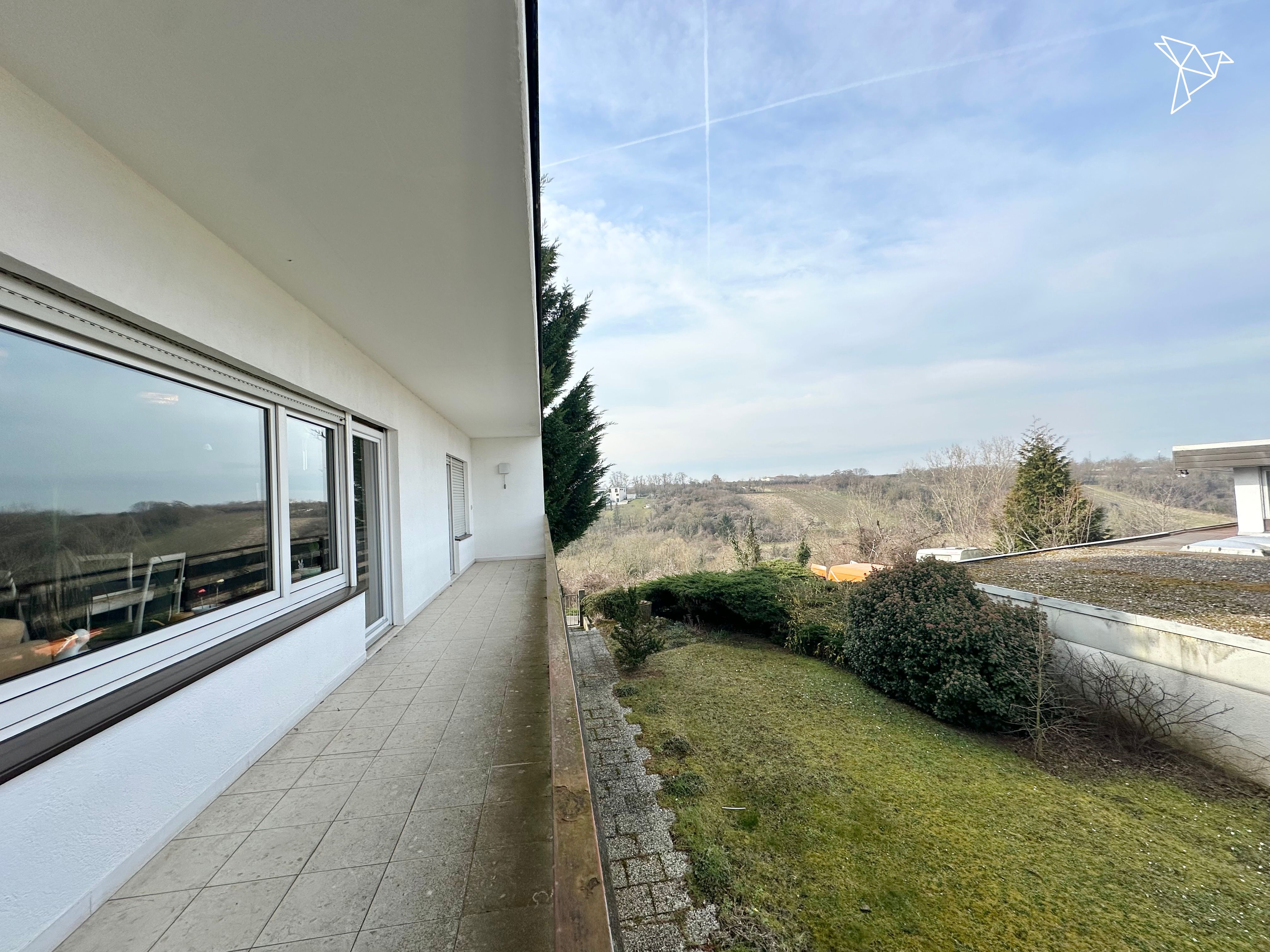 HIER SCHLUMMERT POTENTIAL 🤩 Einfamilienhaus mit Einliegerwohnung in Wackernheim!