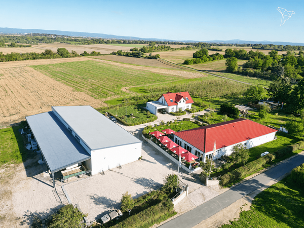 WEINGUT, WOHNHAUS, GASTRONOMIE & PRODUKTIONSHALLE 🏡🍷 Alles auf einem Anwesen in Mainz-Kostheim!