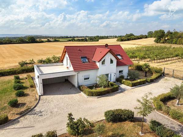 WEINGUT, WOHNHAUS, GASTRONOMIE & PRODUKTIONSHALLE 🏡🍷 Alles auf einem Anwesen in Mainz-Kostheim!