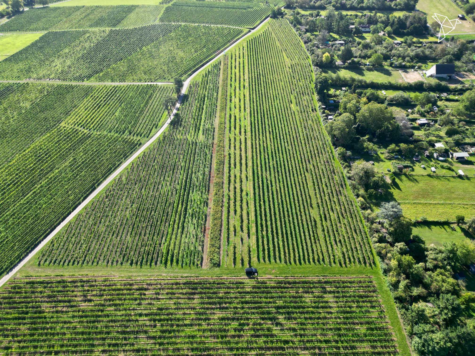 HERZBLUT & HEIMAT ✨🍷 Weingut mit Vinothek, Halle & Einfamilienhaus in Mainz-Kostheim!