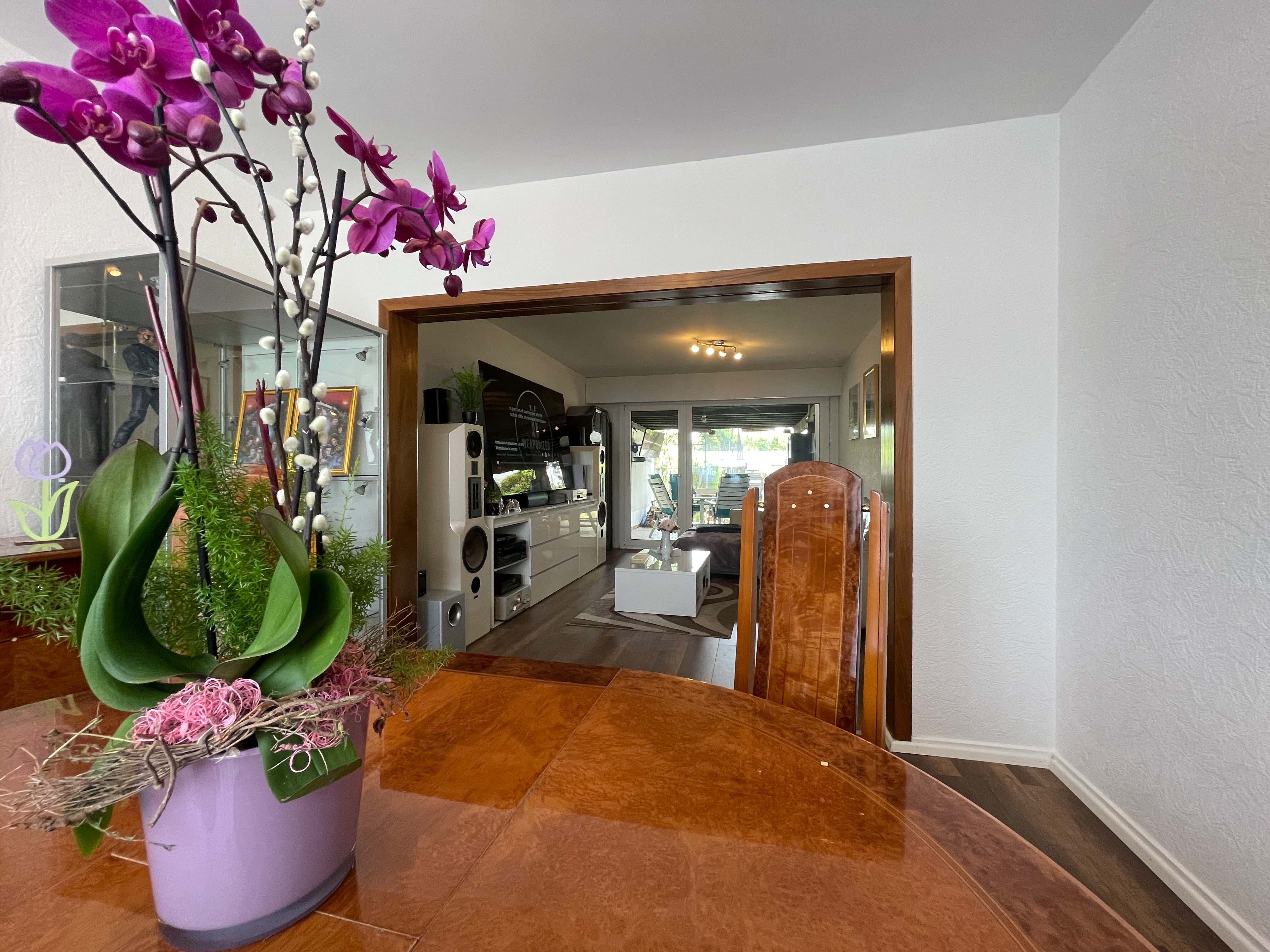 IHR NEUES ZUHAUSE. 🏡 Einfamilienhaus mit Garten im Kölner Norden!