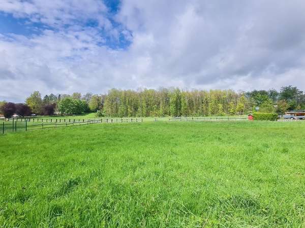 Großzügiges Baugrundstück mit Bauvorbescheid in Sprockhövel