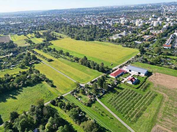 AUS WEIN WIRD DEIN 🍇 Weingut mit knapp 33.500 m² Fläche, Gaststätte, Lagerhalle und Wohnhaus!