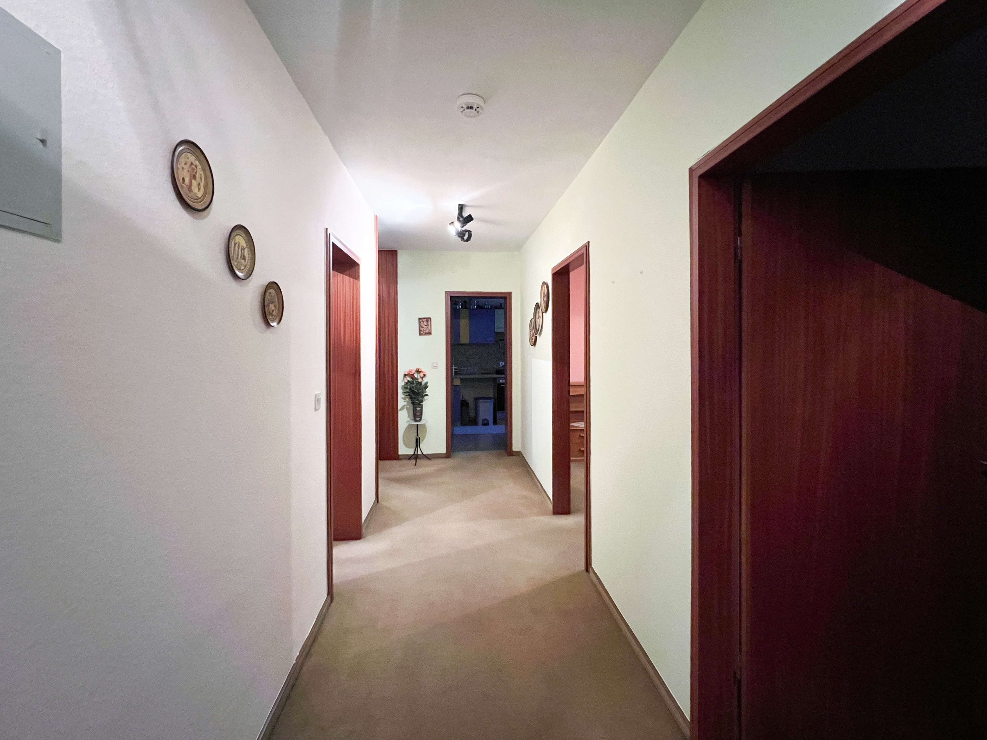 VOM TAUNUS IN DIE CITY 🤩 Top geschnittene 3-Zimmer-Wohnung in Ortsrandlage von Oberursel!