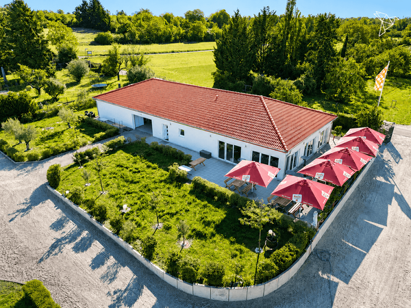 WEINGUT, WOHNHAUS, GASTRONOMIE & PRODUKTIONSHALLE 🏡🍷 Alles auf einem Anwesen in Mainz-Kostheim!