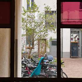 Hübsches MFH Friedrichshain