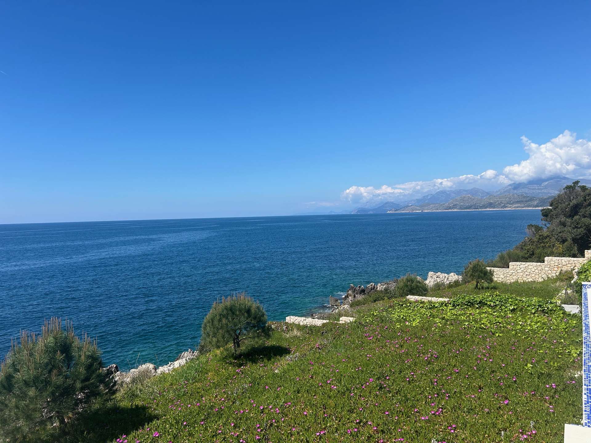 Exklusive Villa zur Selbstnutzung oder Ferienunterkunft in Montenegro, direkt an der Adria zu verkaufen! – Bild 3