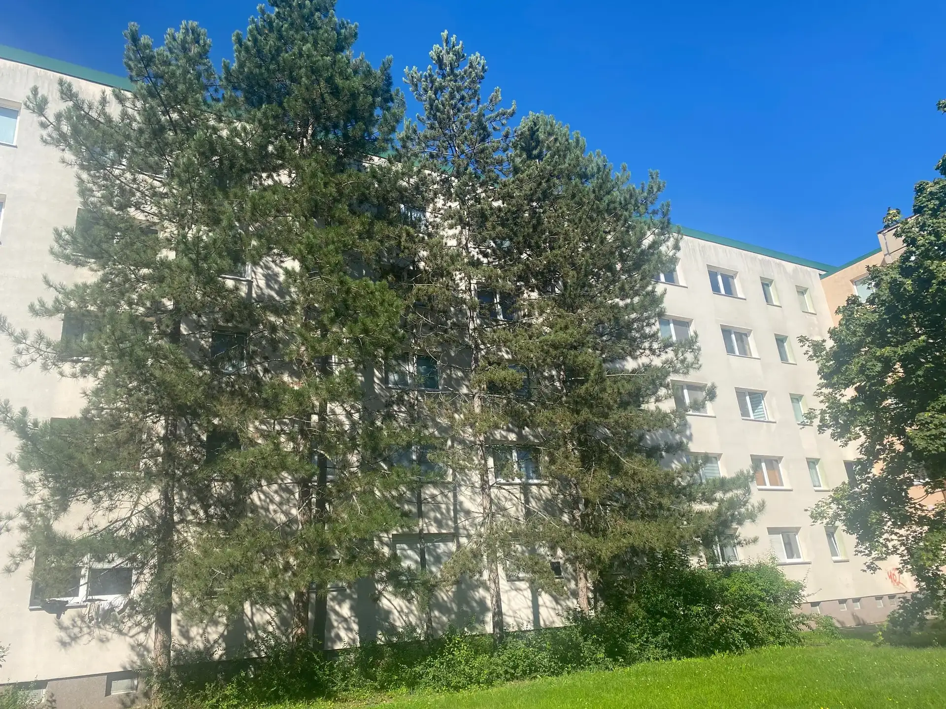 4 Zimmer-Wohnung in der Nähe vom Heidesee!