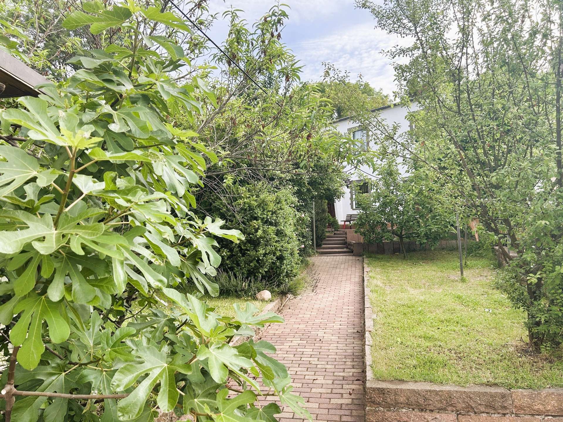 Naturnah wohnen am Petersberg – Einfamilienhaus mit Kamin, Terrasse, Garten und Garage!