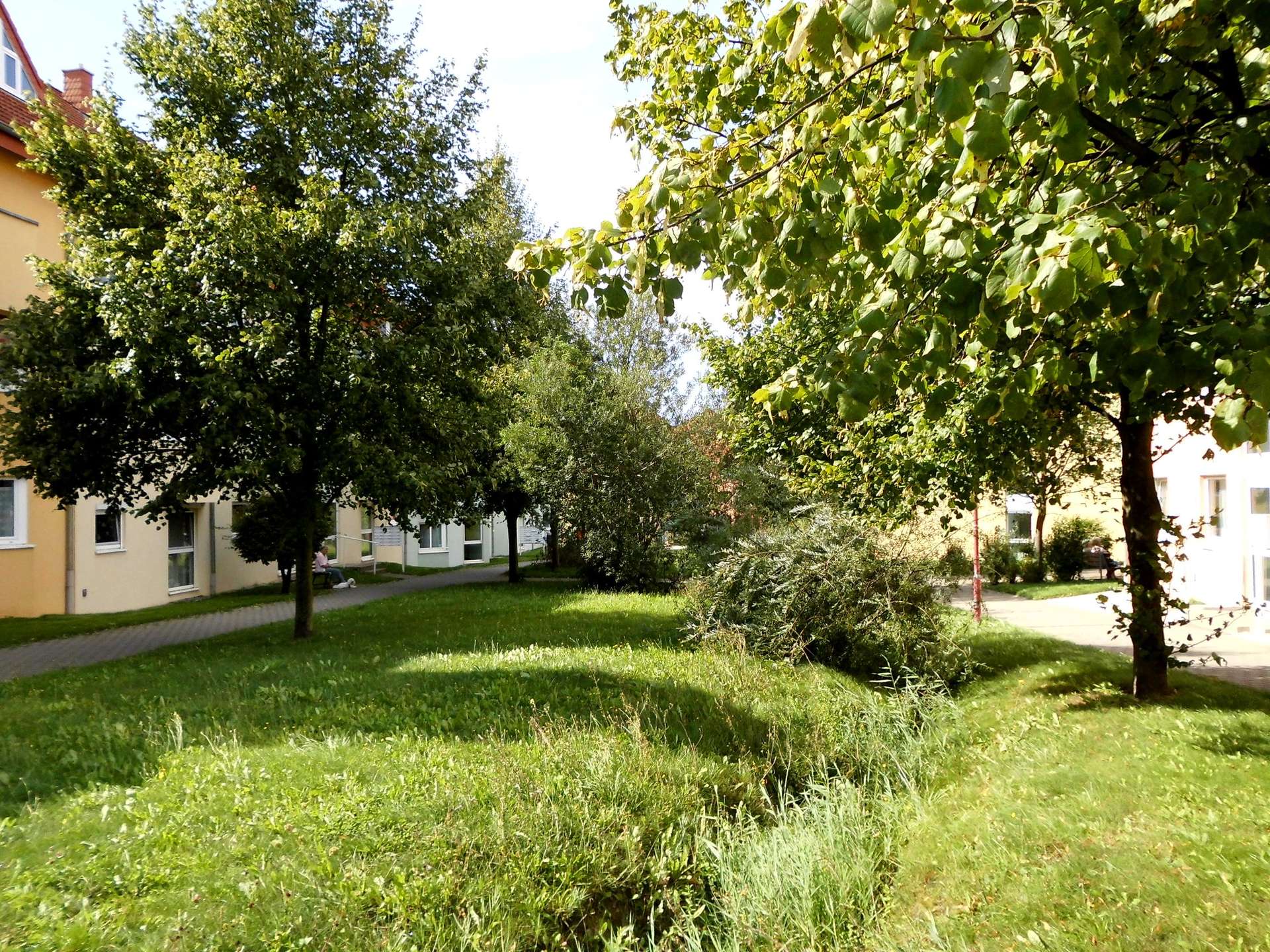 Dachgeschosswohnung, Wohnen Sie zukünftig im Grünen!