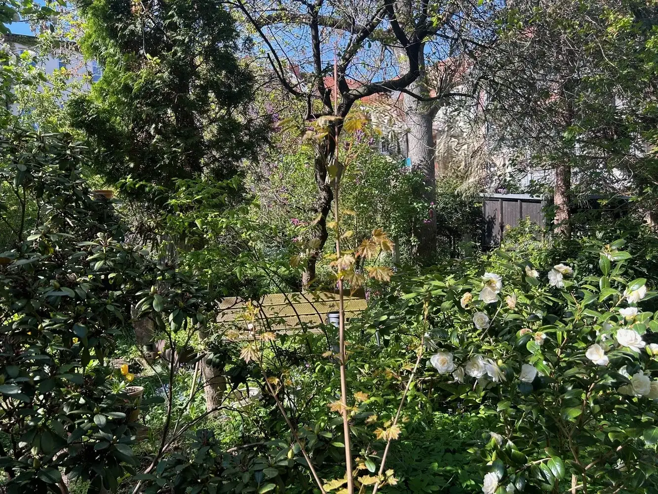 Mehrfamilienhaus mit rückwärtigem Garten im Mühlwegviertel - für Selbstnutzer geeignet