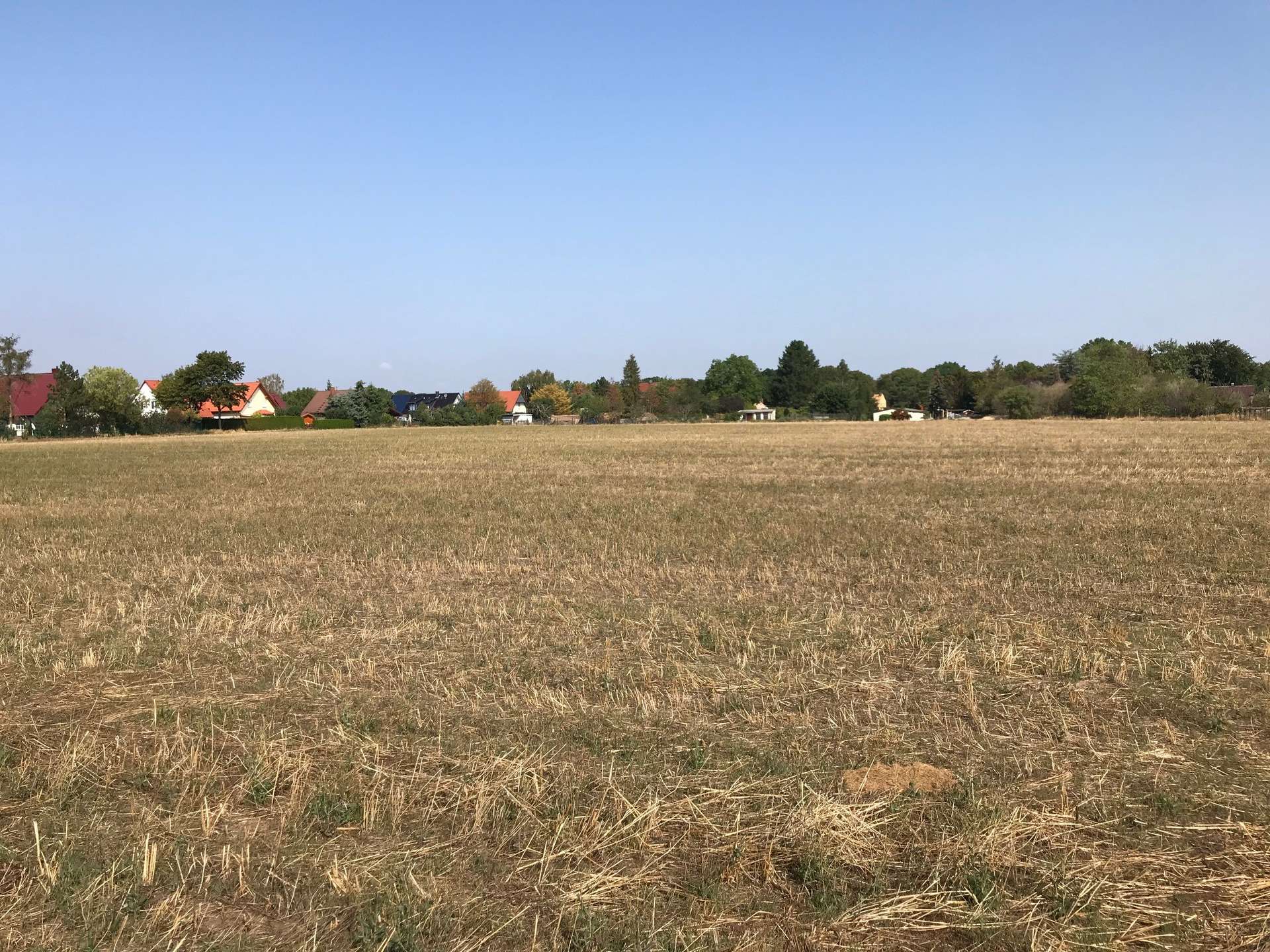 Bebaubare Grundstücke in Bad Lauchstädt!