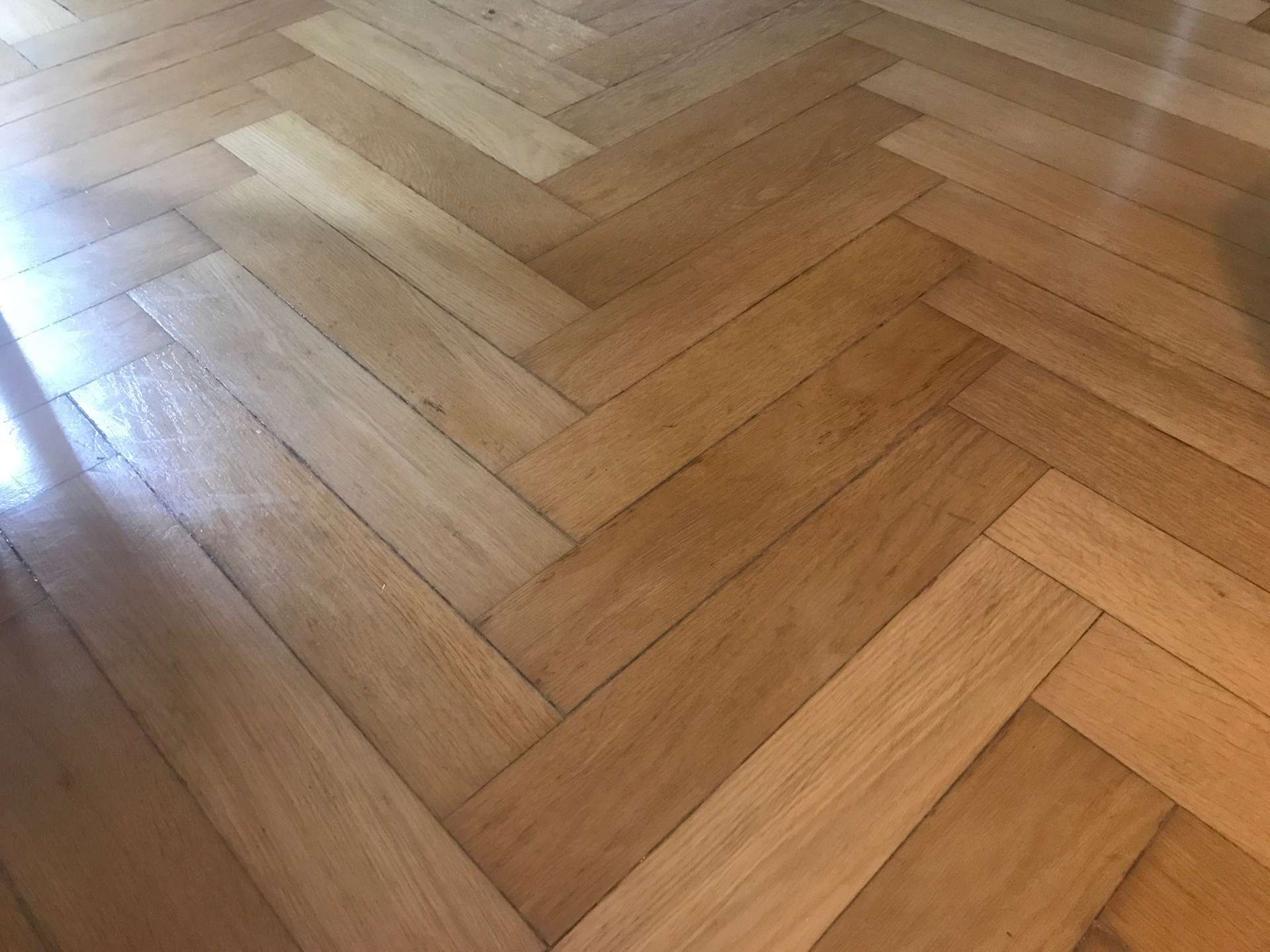 Wohnung mit Erker, Parkett, Einbauküche und Tageslichtbad am Kröllwitzkrankenhaus!