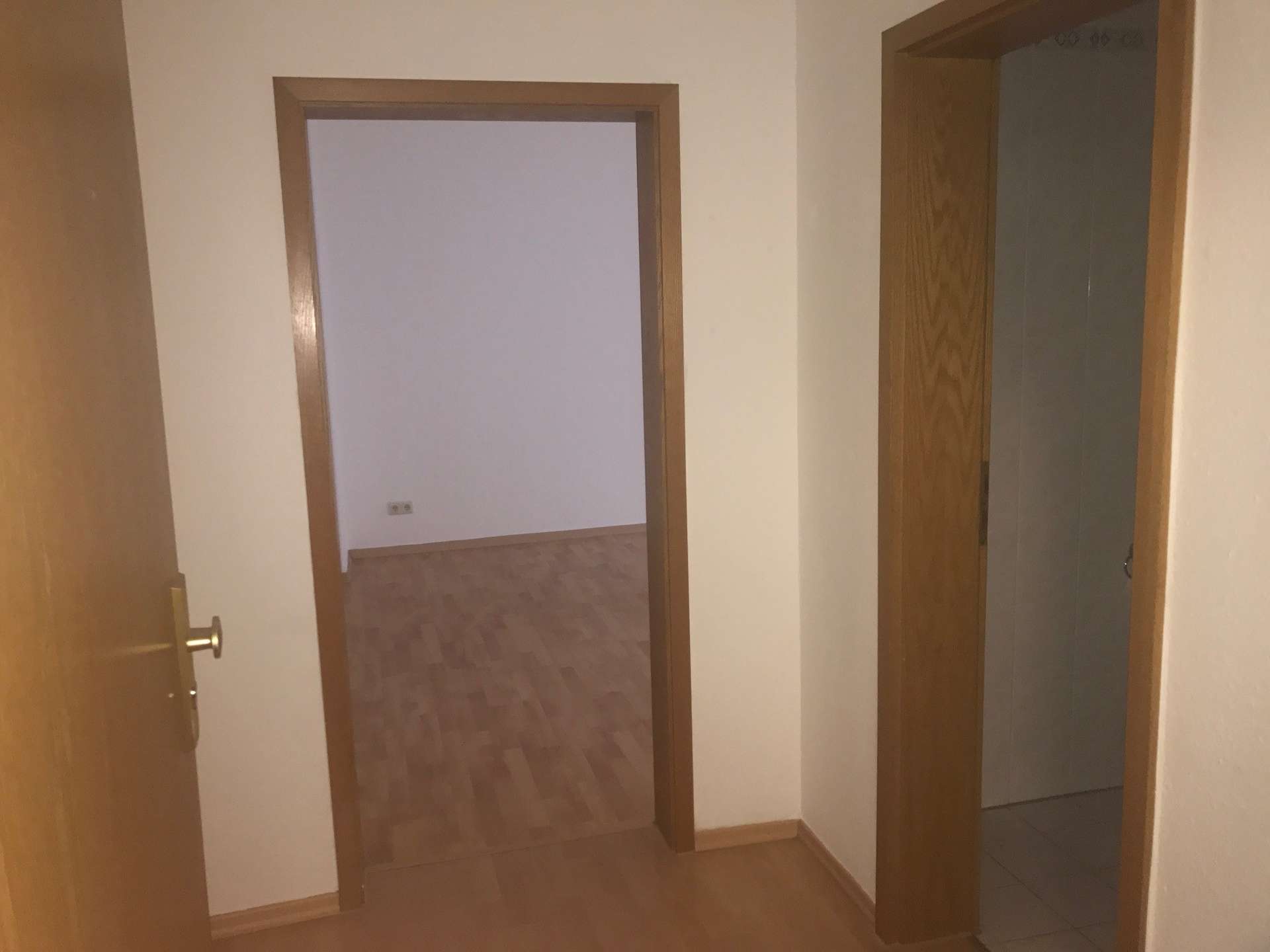 Große 2 - Raum mit Einbauküche im Hinterhaus sucht neue Mieter!